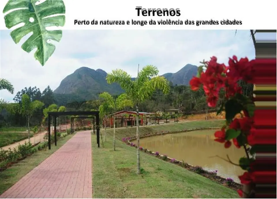 Green Life Club — RECREIO DOS BANDEIRANTES, Rio de Janeiro